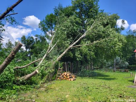 Stanje na terenu (34)